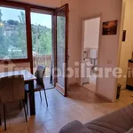 Rent 1 bedroom apartment of 34 m² in Perugia