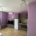 Rent 3 bedroom apartment of 70 m² in Каменица 1