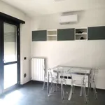 Rent 1 bedroom apartment of 50 m² in milan