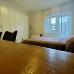 Rent a room of 120 m² in rome