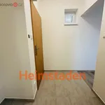 Rent 2 bedroom apartment of 39 m² in Ostrava