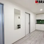 Rent 2 bedroom apartment of 33 m² in Brno