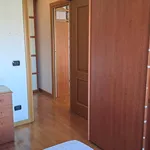 Rent 3 bedroom apartment of 72 m² in Roma