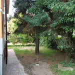 Rent 3 bedroom house of 120 m² in Suzzara