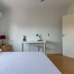 Rent 4 bedroom apartment in valencia