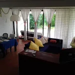 Rent a room in Ericeira