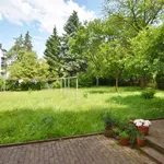 Rent 2 bedroom apartment of 43 m² in Chemnitz