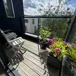 Rent 1 bedroom apartment of 60 m² in Arnhem