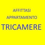 Affitto 5 camera appartamento di 130 m² in Nove