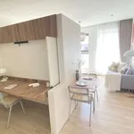 Rent 1 bedroom apartment in brussels