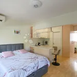 Rent 1 bedroom apartment of 28 m² in Grad Rijeka