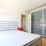 Rent 2 bedroom apartment of 40 m² in Milano