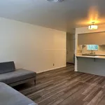 Rent 3 bedroom apartment of 91 m² in Austin