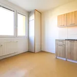 Pronajměte si 1 ložnic/e byt o rozloze 39 m² v Pilsen