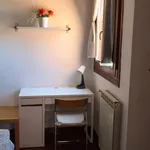 Rent a room in bologna