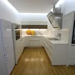 Rent 3 bedroom apartment of 100 m² in Prague