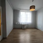 Rent 2 bedroom apartment of 50 m² in Miskolc