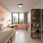 Rent a room in Turin