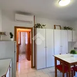 Rent 2 bedroom apartment of 40 m² in Cervia