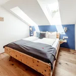 Rent 3 bedroom apartment of 55 m² in Völkermarkt District