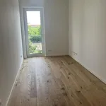 Miete 3 Schlafzimmer wohnung von 79 m² in Dresden