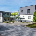 Rent 2 bedroom apartment of 50 m² in Söding-St. Johann