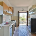 Rent 4 bedroom apartment of 115 m² in Roma