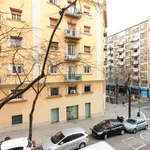 Rent a room of 90 m² in barcelona