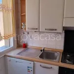 Rent 3 bedroom apartment of 80 m² in Bologna