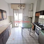 Rent 4 bedroom apartment of 140 m² in Pavia