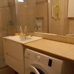 Rent 2 bedroom apartment of 50 m² in Timișoara