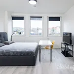 Rent 1 bedroom apartment of 25 m² in Capital City of Prague