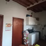 Rent 3 bedroom apartment of 50 m² in Perugia