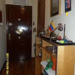 Rent 3 bedroom apartment in Madrid