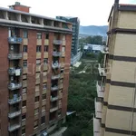 Rent 3 bedroom apartment of 100 m² in Avellino