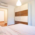 Rent 5 bedroom apartment of 100 m² in Pisa