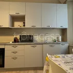 Rent 1 bedroom apartment of 40 m² in Piacenza