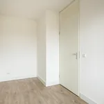 Huur 1 slaapkamer appartement van 112 m² in Utrecht