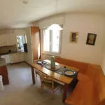 Rent a room in trento