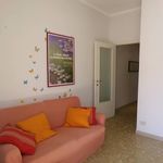 Affittasi Appartamento, ANZIO CENTRO CASA VACANZE - Annunci Anzio (Roma) - Rif.565856