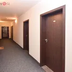 Rent 2 bedroom apartment of 35 m² in Sázava