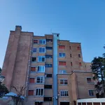 Rent 4 bedroom apartment of 80 m² in Ferrara