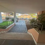 Rent 1 bedroom apartment of 37 m² in Rome