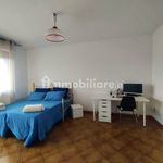 Rent 3 bedroom apartment of 70 m² in Pisa