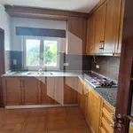 Rent 4 bedroom house of 118 m² in Tondela