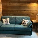 Rent 2 bedroom apartment of 45 m² in Pinzolo