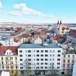 Rent 1 bedroom apartment in Plzeň