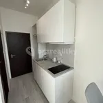 Rent 1 bedroom apartment in Kutná Hora