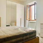 Rent 3 bedroom apartment of 65 m² in Roma