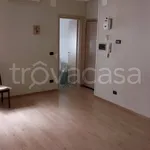 Rent 3 bedroom apartment of 100 m² in Taranto